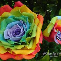My Rainbow Rose Collection