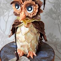 Oli the wise Owl