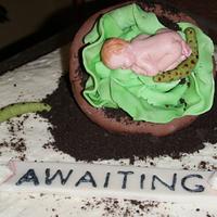 Anne Geddes themed baby shower cake
