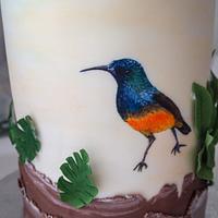African Birds cake