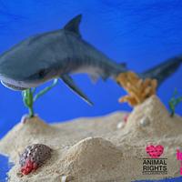 Animal Rights Cake Collaboration - Tiger Shark