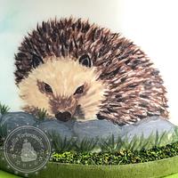 Hedgehog hand painted