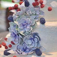 Raspberry Blackberry Succulent Wedding Cake