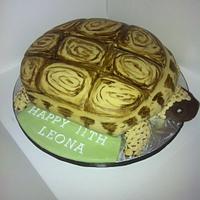Tortoise cake