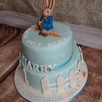 Peter rabbit cake 2