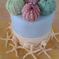 Sea urchin cake