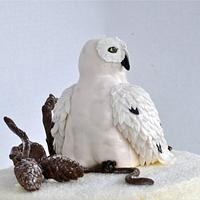 Winter Alaskan Snow Owl Cake