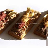 Harvest - Corn cobs