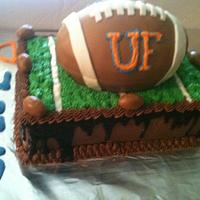 Florida Gators groom cake