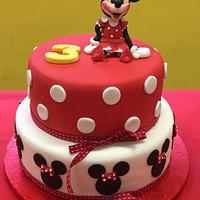 Mickey mouse and Minnie party