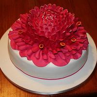Cake pink porcelain Angolan