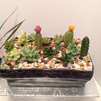 Cactus Garden Cake