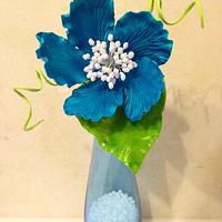 Deep blue flower