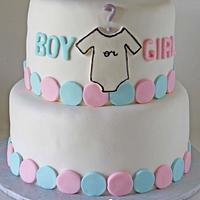 Baby Shower Gender Reveal Cake