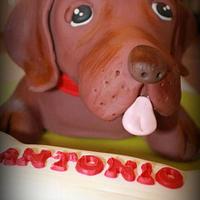 Dog  Cake