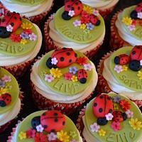 Ladybird Cupcakes
