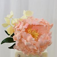 Peonies on a Square Cake