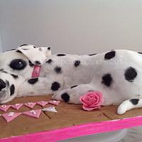 Dalmatian Dog Cake