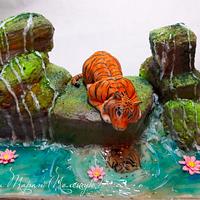 cake tiger