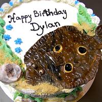 Dylan's Flounder