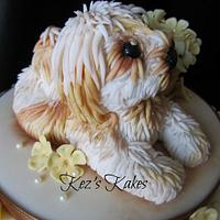 Cute 'Daisy' the Lhasa Apso Dog and Flowerpot Cake.