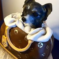 Dog in handbag