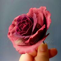 Marbled sugar Rose