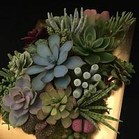 succulent handmade
