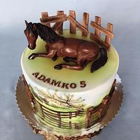 Horse birthday cake 