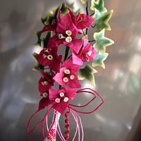 Bougainvillea Bougainvillea