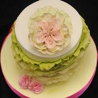 Ruffles and a Cabbage Rose