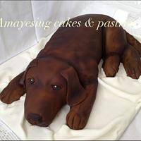 Airbrushed chocolate Labrador cake
