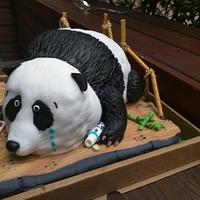 A grieving panda