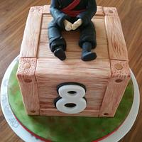 Clumsy ninja cake