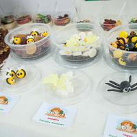 The Little Entomologist Birthday Party!