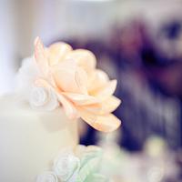 Vintage inspired wedding cake and sweetbar, Bomton Press Event