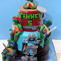 TMNT Teenage Mutant Ninja turtles