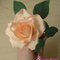 Peach Rose