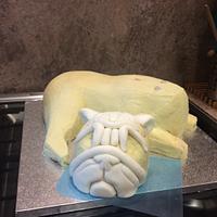 The making of a Pug