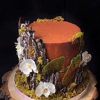 Forest stump cake