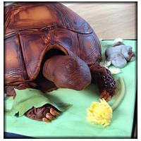 Pebbles the tortoise! 
