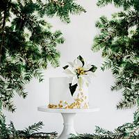 Christmas Poinsettia cake 