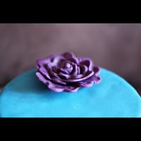 The blue velvet rosette