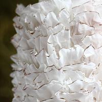 All wafer paper textured wedding cake