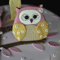 owls 1st birthday