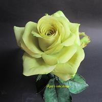 yellow rose " Rita "