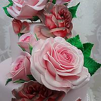 Pink sleepink rose