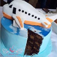 3D Aeroplane checkerboard cake