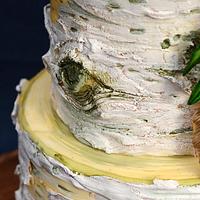 Boho Birch Cake