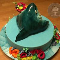 Birthday Cake Shark 